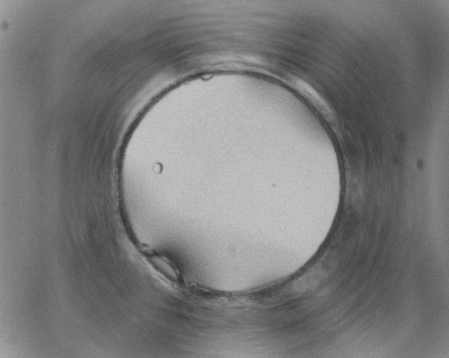 X0000062891384200602031756