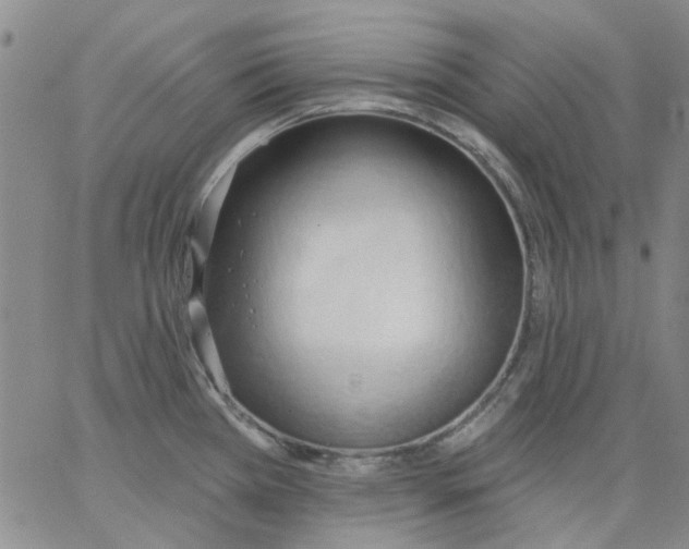 X0000062891385200602031756