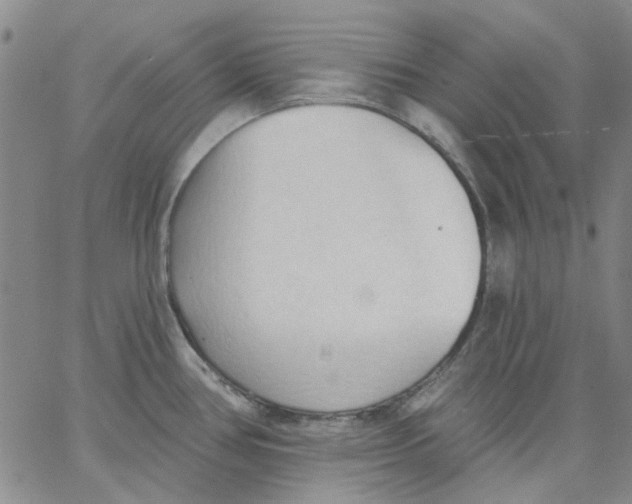 X0000062891386200602031756