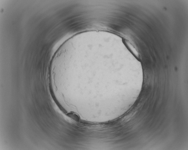 X0000062891387200602031756