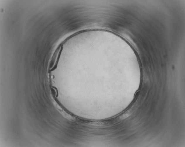 X0000062891388200602031756