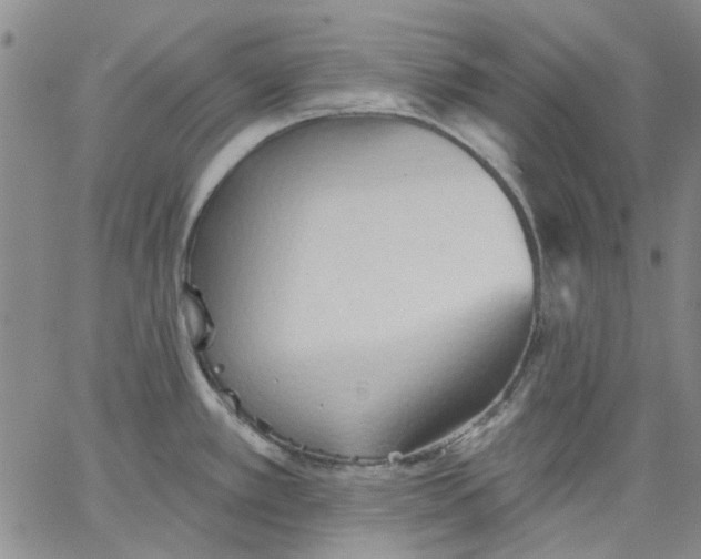 X0000062891389200602031756