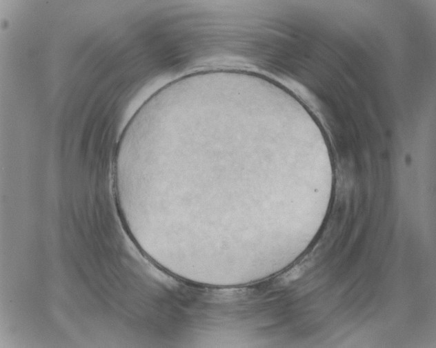 X0000062891390200602031756