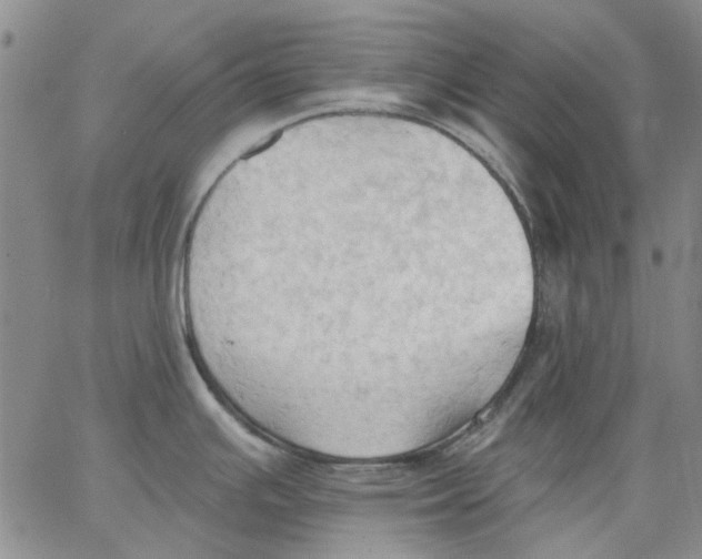 X0000062891391200602031756