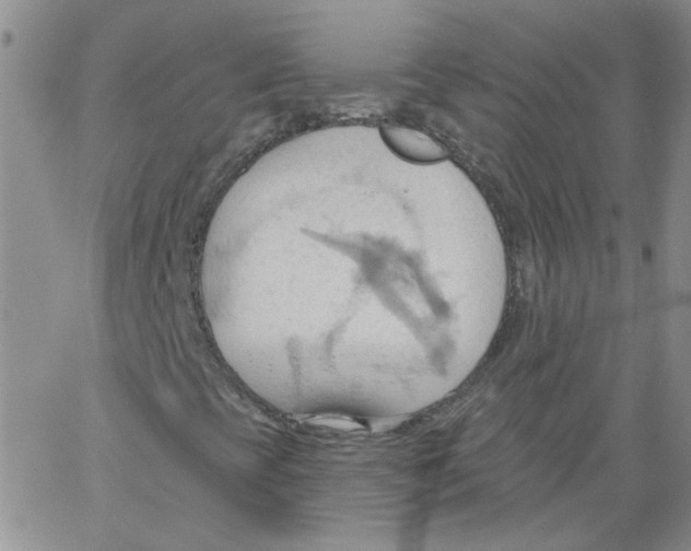 X0000062891393200602031755