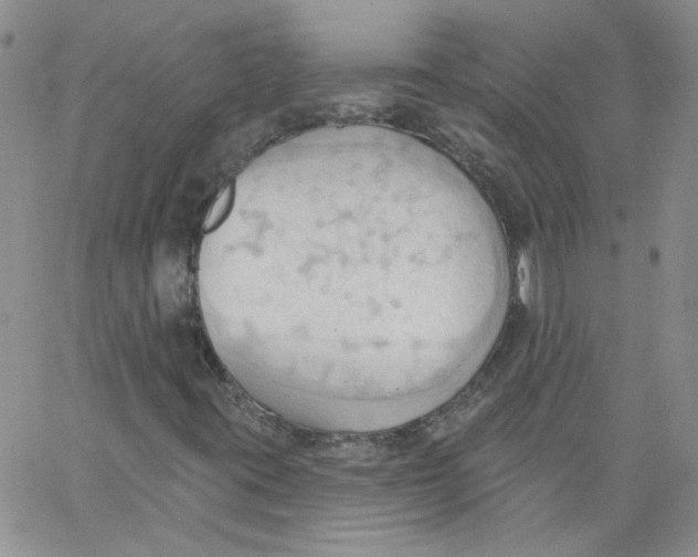 X0000062891395200602031755