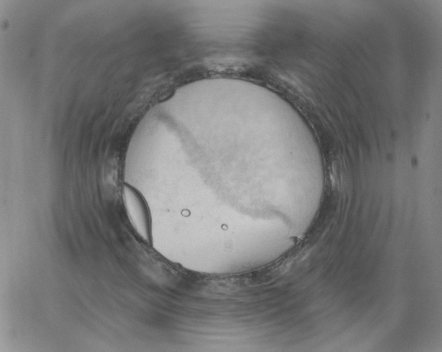 X0000062891396200602031755