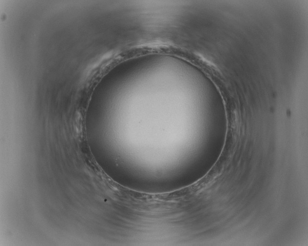 X0000062891398200602031755