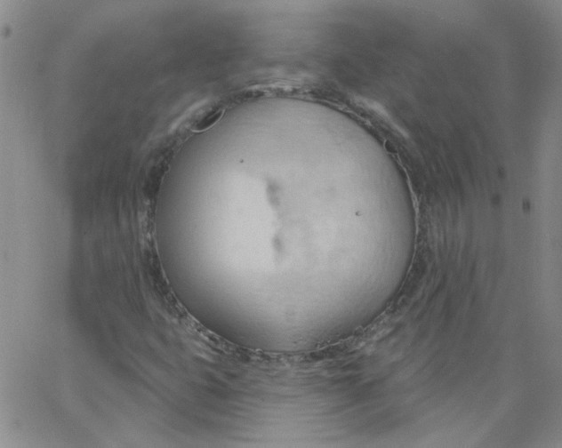 X0000062891399200602031755