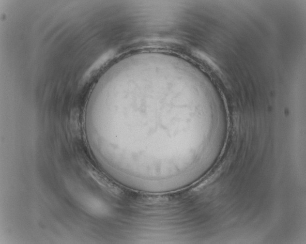 X0000062891403200602031755