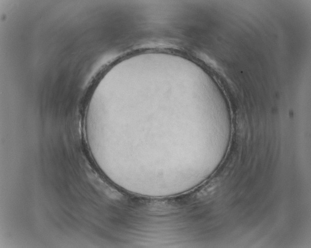 X0000062891408200602031756