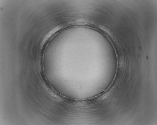 X0000062891410200602031756