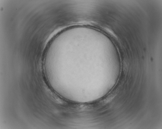 X0000062891412200602031756