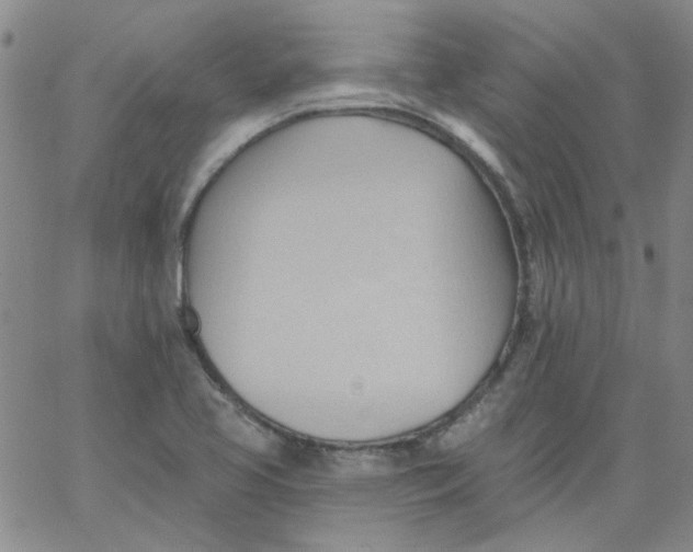 X0000062891413200602031756