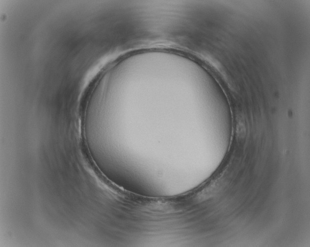 X0000062891414200602031756