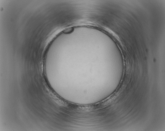 X0000062891415200602031756