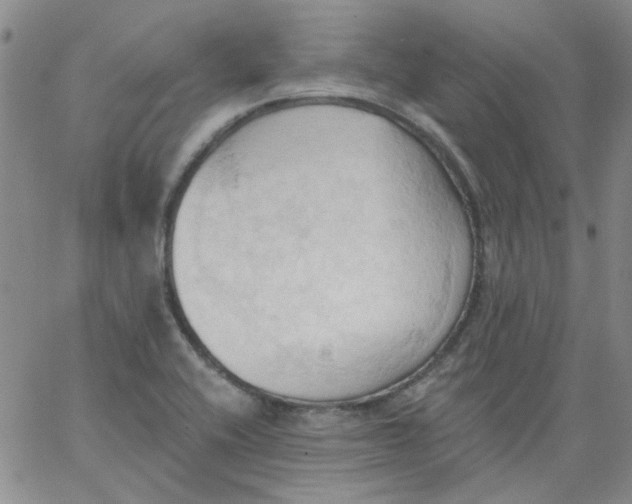 X0000062891416200602031756