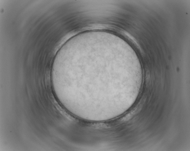 X0000062891417200602031756