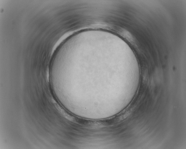 X0000062891420200602031756