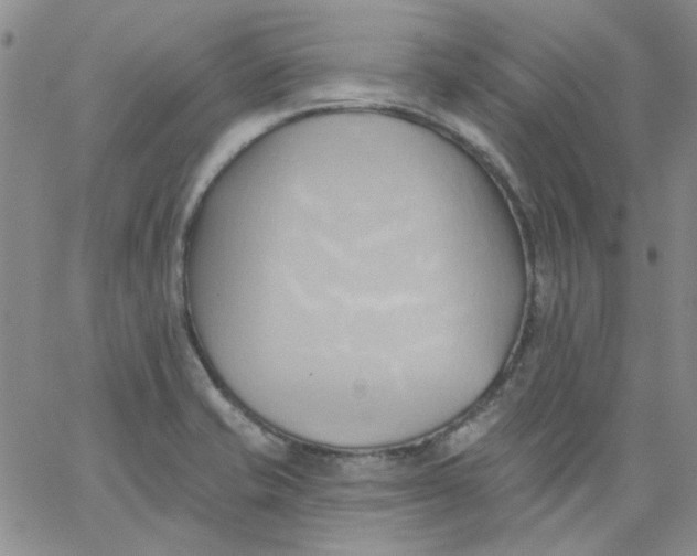 X0000062891421200602031756