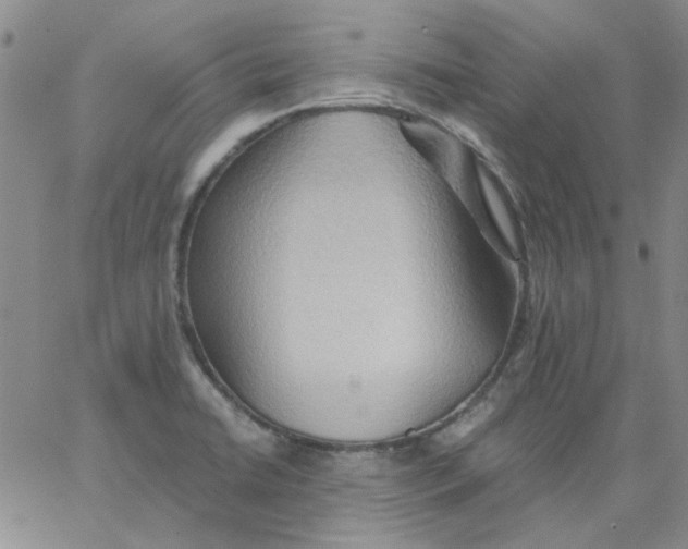 X0000062891422200602031756