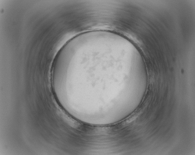 X0000062891423200602031756