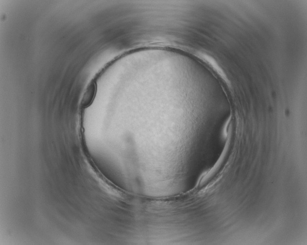 X0000062891424200602031756