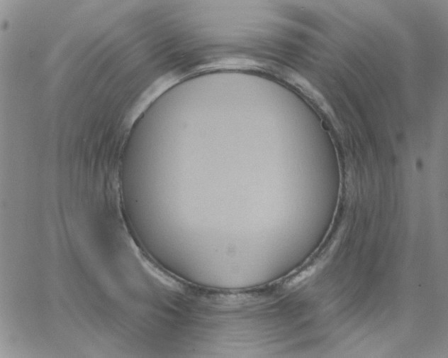 X0000062891425200602031756