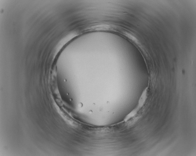 X0000062891426200602031756