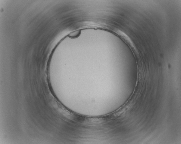 X0000062891427200602031756