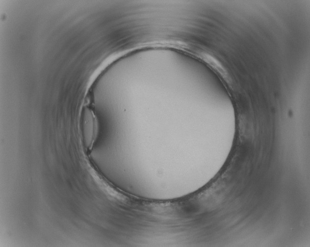 X0000062891428200602031756