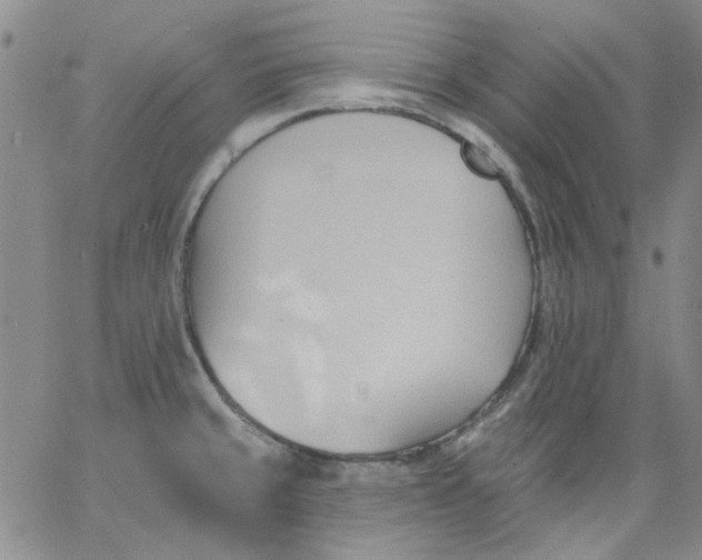 X0000062891429200602031756