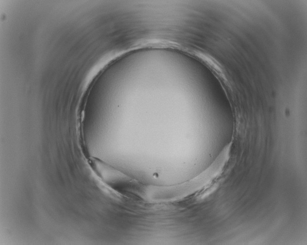 X0000062891430200602031756