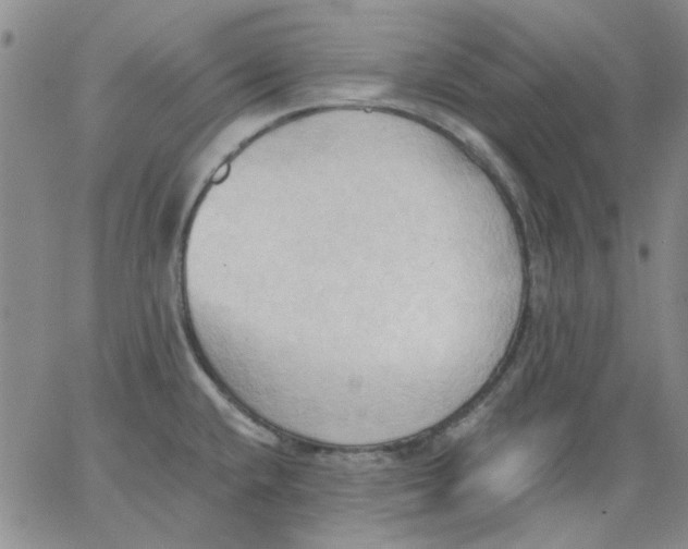 X0000062891432200602031756