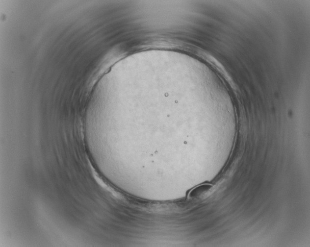 X0000062891433200602031756