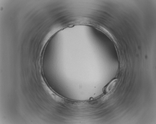 X0000062891434200602031756