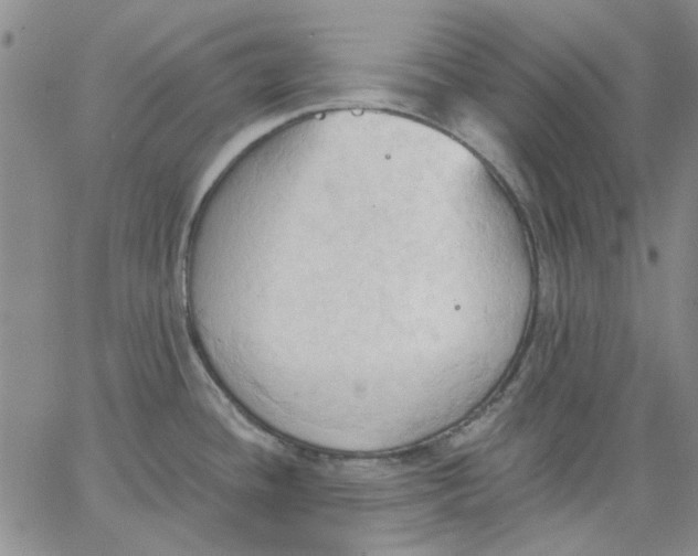 X0000062891436200602031756