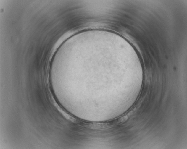 X0000062891437200602031756