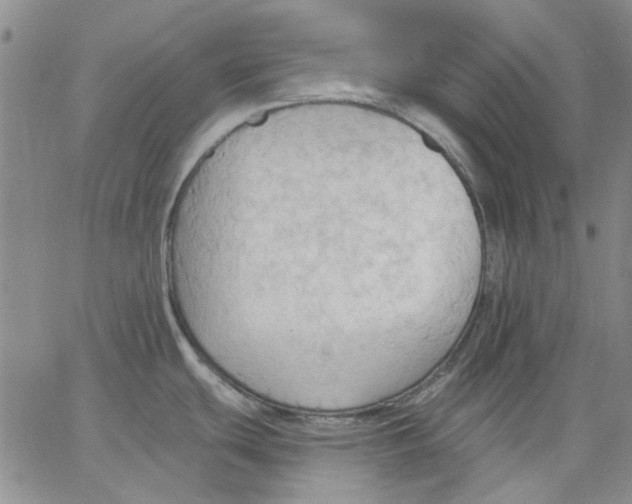 X0000062891439200602031756