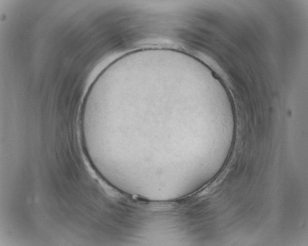 X0000062891440200602031756