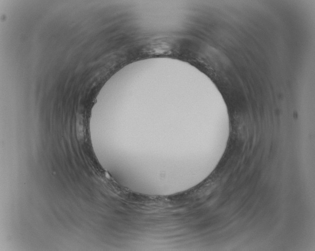 X0000062891442200602031755