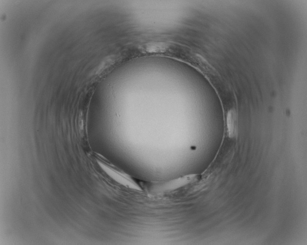 X0000062891443200602031755