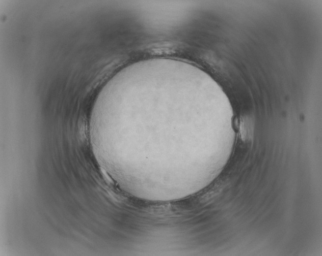 X0000062891444200602031755