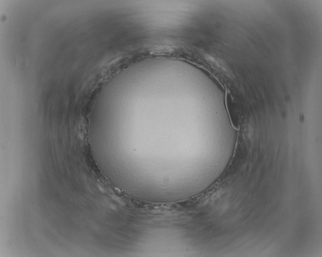 X0000062891445200602031755