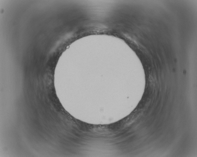 X0000062891447200602031755