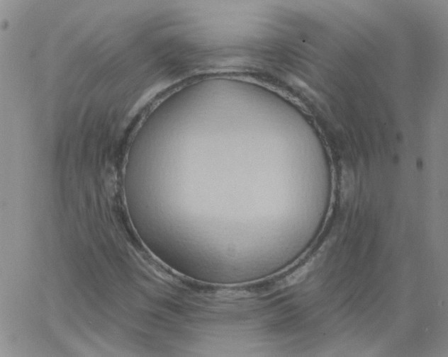 X0000062891449200602031755