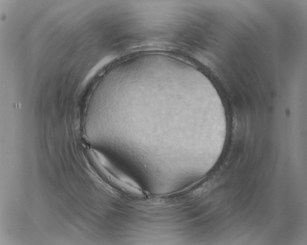 X0000062891450200602031755