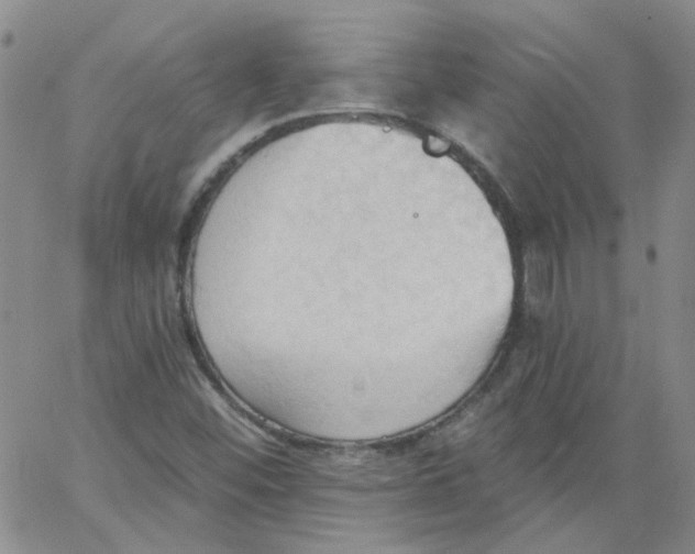 X0000062891452200602031755