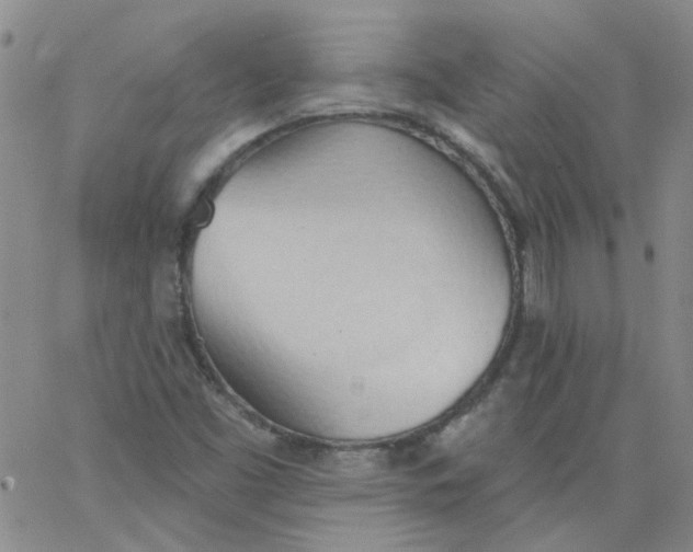 X0000062891453200602031755