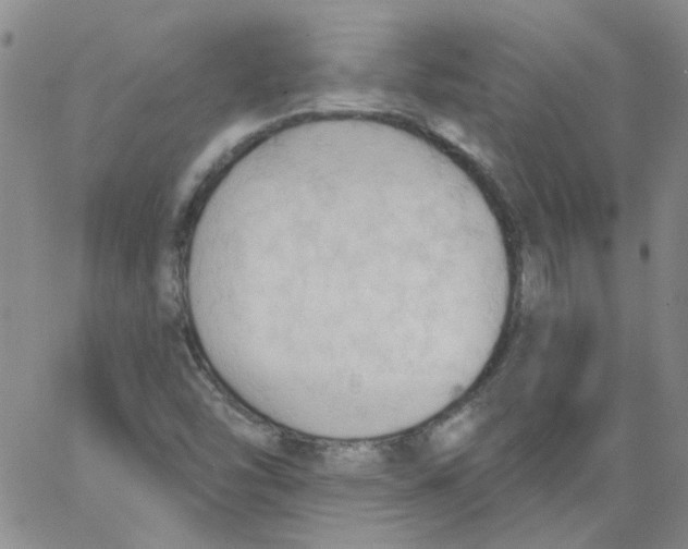 X0000062891454200602031755